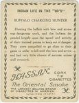 Buffalo charging hunter.