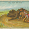 Buffalow wallow.
