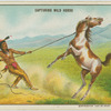 Capturing a wild horse.