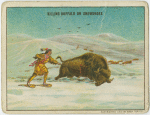 Hunting buffalo on snow shoes.