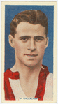 P. Gallacher (Sunderland).