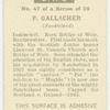 P. Gallacher (Sunderland).