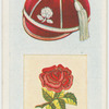Rugby Football Union.