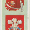 Welsh Football Union.