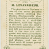 M. Levavasseur.  Antoinette aeroplane motor.