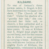 Kildare, Cill-dara
