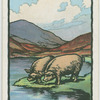Muckross, Muc-ros