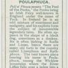 Poulaphuca, Poll a' Phuca