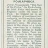 Poulaphuca, Poll a' Phuca