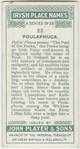 Poulaphuca, Poll a' Phuca
