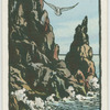 Skerries, Sceire