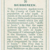 Skibbereen, Scibirín