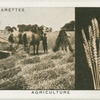 Agriculture.