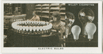 Electric bulbs.