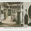 Vegetable oils and fats.