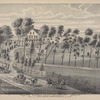 Willow Grove - Residence of Bernard DeWitt Town of Monroe, Orange County, N.Y.