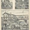 Res. of W. S. Benedict, Warwick, N.Y.; Res. of Chas. L. Morehouse, Town of Warwick, N.Y.; National Hotel, Warwick, N.Y., Demerest Hall attached, T. H. Demerest Prop. Good Livery connected with this house