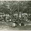 American Telephone & Telegraph Exhibit - Pine grove