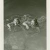 Amusements - Aquacade - Two swimmers in water