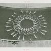 Amusements - Aquacade - Circle formation in water