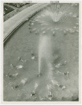 Amusements - Aquacade - Pinwheel sequence