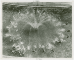 Amusements - Aquacade - Performance