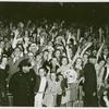 Amusements - Audiences - Visitors