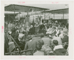 Amusements - Midway Activities - Frank Monaghan conferring degree upon Donald Duck