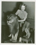 Amusements - Performers and Personalities - Musicians - Mercer, Ruby - With lion