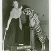 Amusements - Performers and Personalities - Musicians - Mercer, Ruby - With tiger