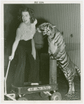 Amusements - Performers and Personalities - Musicians - Mercer, Ruby - With tiger