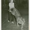 Amusements - Performers and Personalities - Musicians - Mercer, Ruby - With tiger
