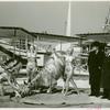 Amusements - Performers and Personalities - Showgirls - Grover Whalen with Bella Brengk and her Golden Horse