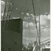 Amusements - Shows and Attractions - Aerial Acts and Airshows - The Five Eltons (acrobats)