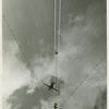 Amusements - Shows and Attractions - Aerial Acts and Airshows - High diver