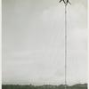 Amusements - Shows and Attractions - Aerial Acts and Airshows - Fox, Betty and Benny - Sky dancing