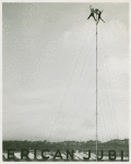 Amusements - Shows and Attractions - Aerial Acts and Airshows - Fox, Betty and Benny - Sky dancing