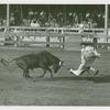 Amusements - Shows and Attractions - Bull Dodging - Sidney Franklin dodging bull