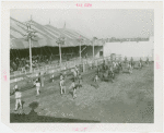 Amusements - Shows and Attractions - Bull Dodging - Procession of bull dodgers
