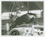 Amusements - Shows and Attractions - Cavalcade of Centaurs - Horse jumping over car