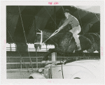 Amusements - Shows and Attractions - Cavalcade of Centaurs - Horse jumping over car