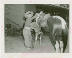 Amusements - Shows and Attractions - Cavalcade of Centaurs - Boy mounting horse