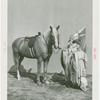 Amusements - Shows and Attractions - Cavalcade of Centaurs - Lady in costume with horse
