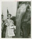 Amusements - Shows and Attractions - Frank Buck's Jungleland - Elephants - With woman in costume