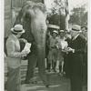 Amusements - Shows and Attractions - Frank Buck's Jungleland - Elephants - With men