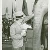 Amusements - Shows and Attractions - Frank Buck's Jungleland - Elephants - Man feeding