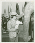 Amusements - Shows and Attractions - Frank Buck's Jungleland - Elephants - Man feeding