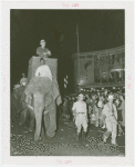 Amusements - Shows and Attractions - Frank Buck's Jungleland - Elephants - Frank Buck riding