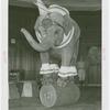 Amusements - Shows and Attractions - Frank Buck's Jungleland - Elephants - Standing on barrel