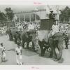 Amusements - Shows and Attractions - Frank Buck's Jungleland - Elephants - Frank Buck riding in procession